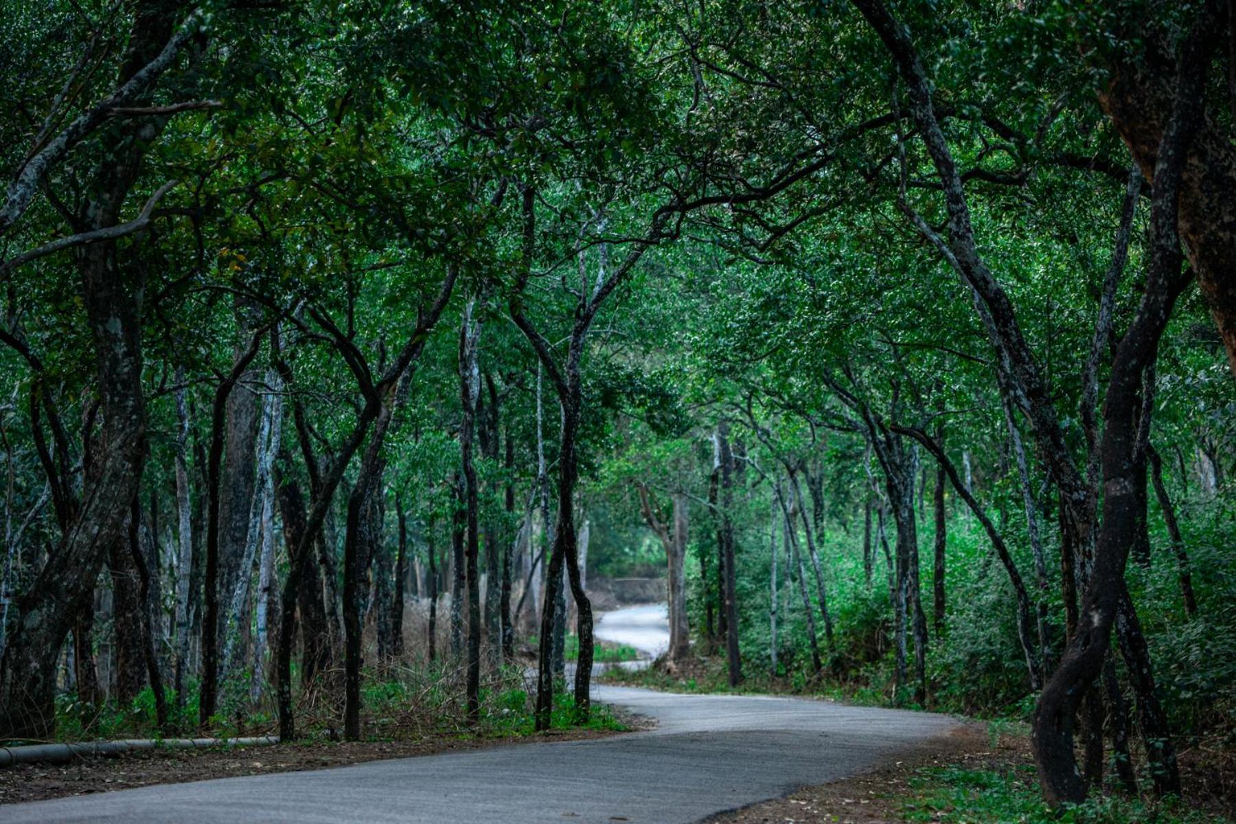 Nature Tones By Brdge Hospitality Maraiyūr Buitenkant foto
