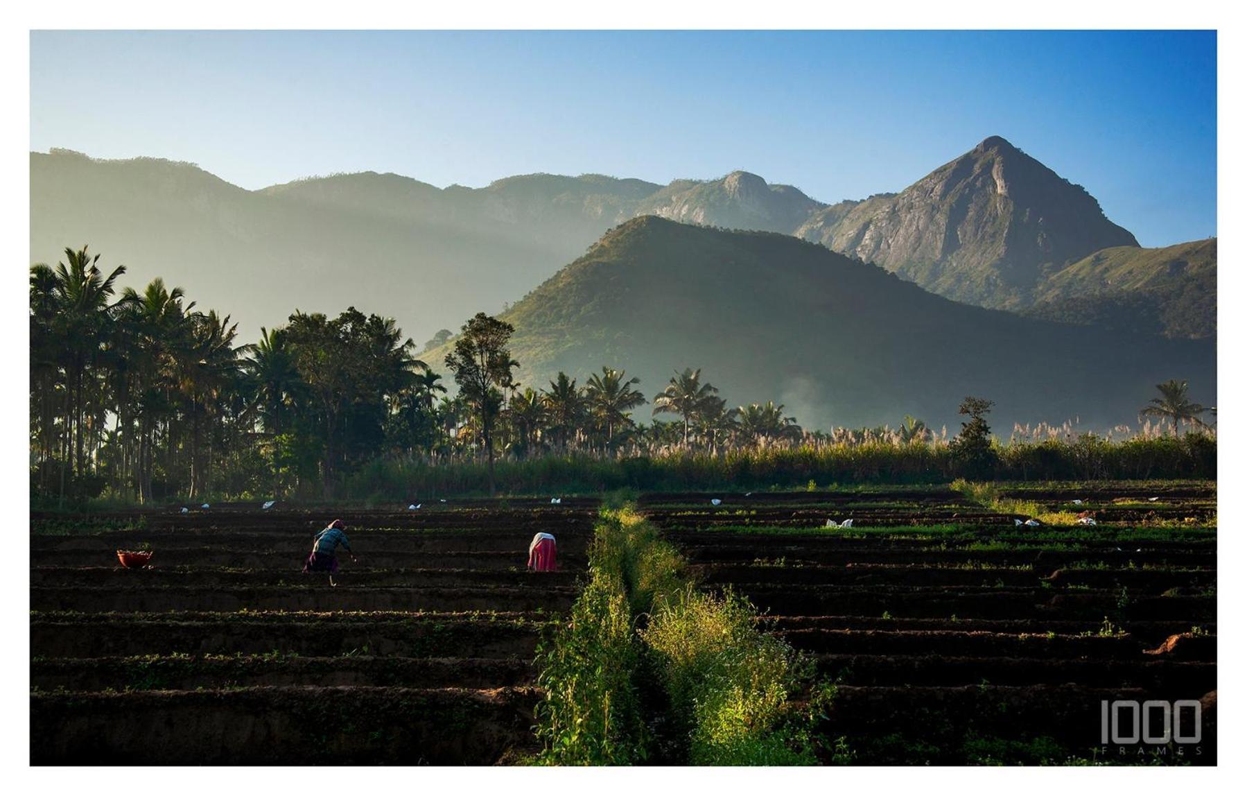 Nature Tones By Brdge Hospitality Maraiyūr Buitenkant foto