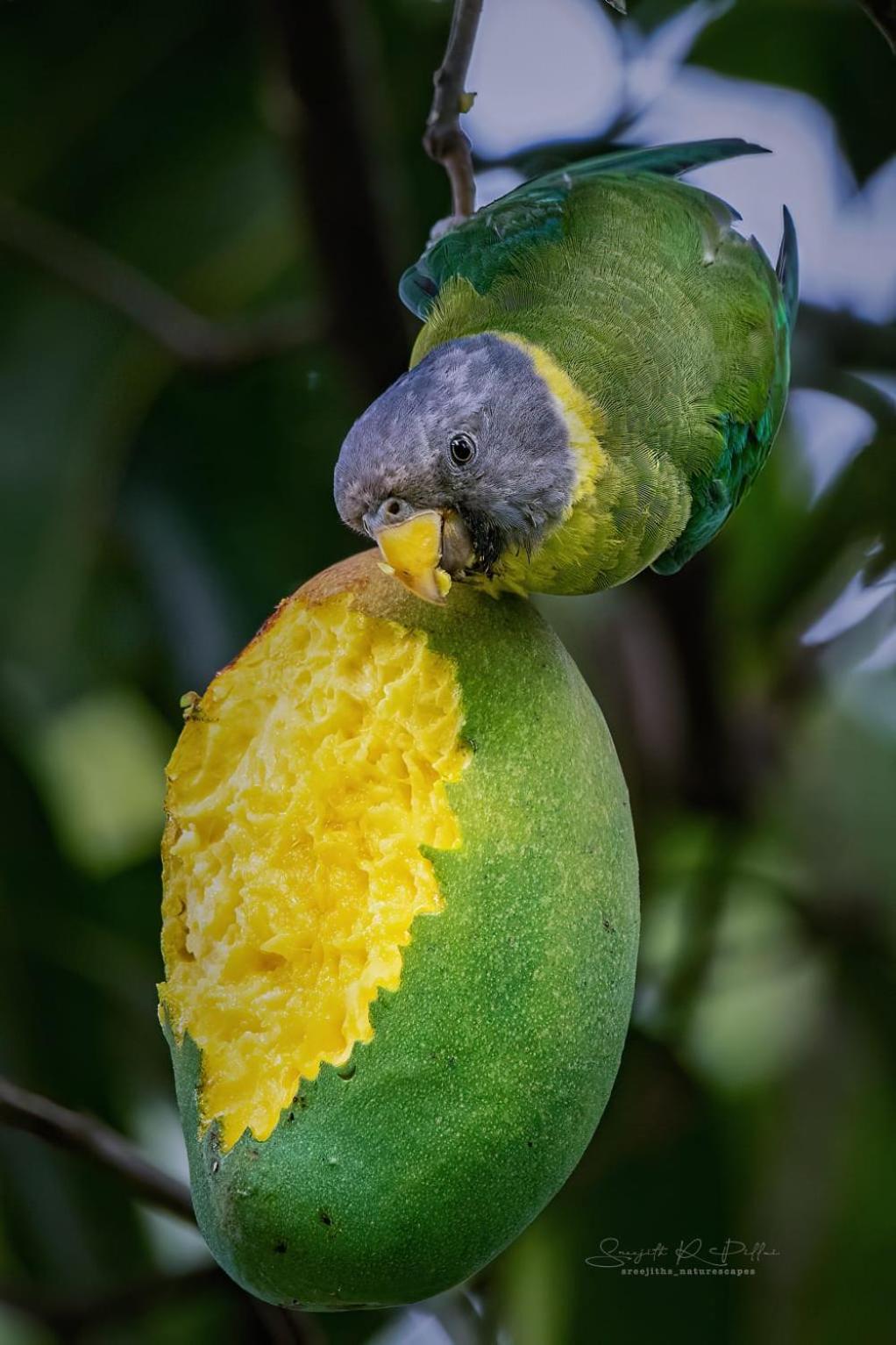 Nature Tones By Brdge Hospitality Maraiyūr Buitenkant foto