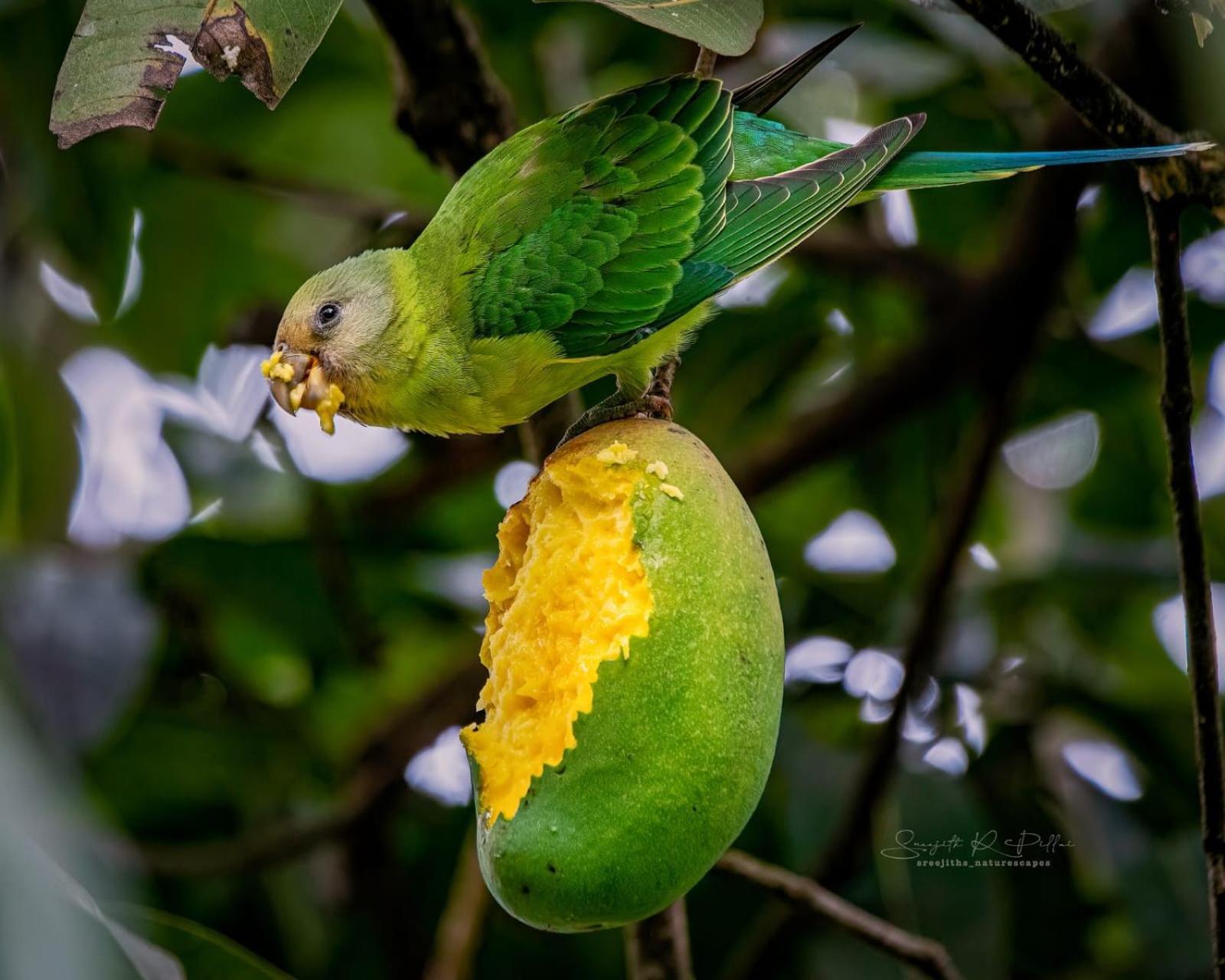 Nature Tones By Brdge Hospitality Maraiyūr Buitenkant foto