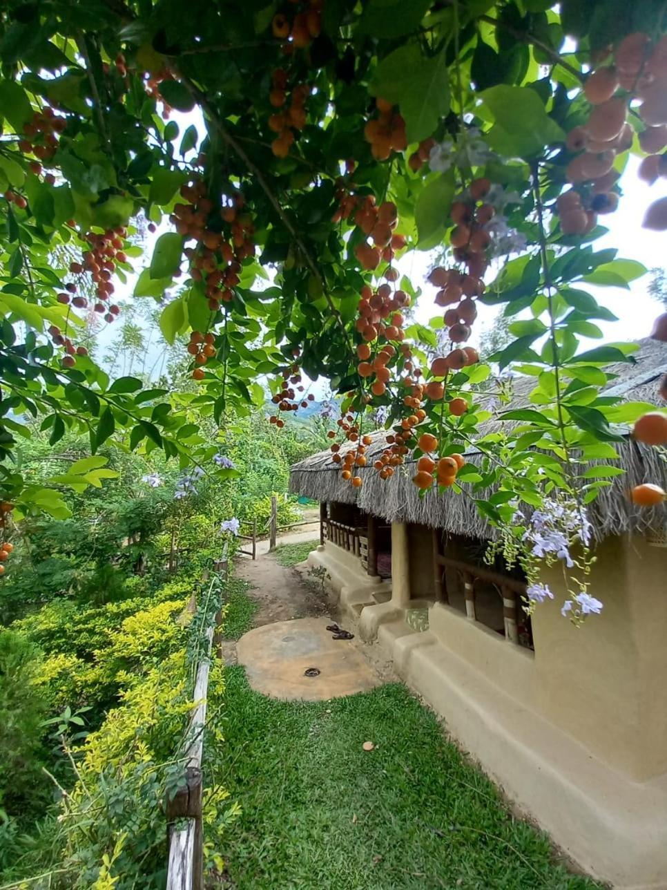 Nature Tones By Brdge Hospitality Maraiyūr Buitenkant foto