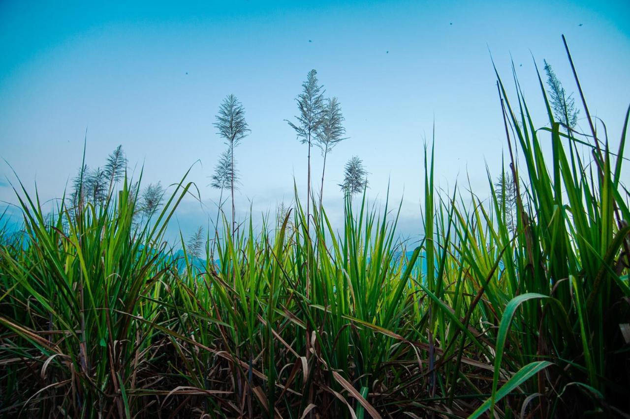 Nature Tones By Brdge Hospitality Maraiyūr Buitenkant foto